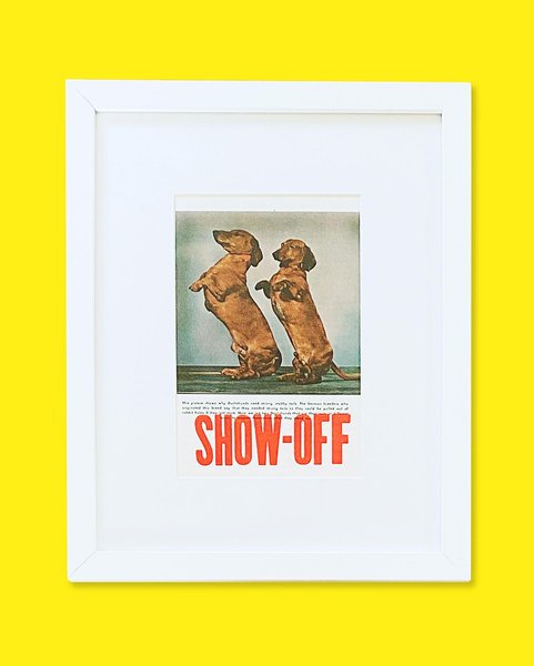 Thumbnail of p-cy6tdx6lj47-bfb08e2a58c8485d 7