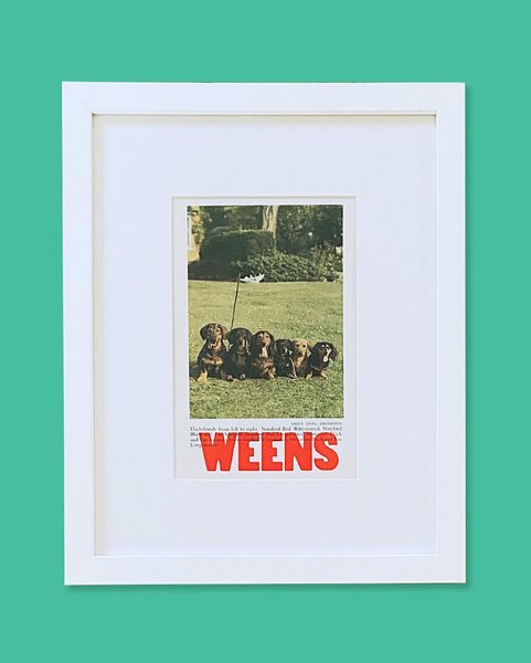 Thumbnail of p-cy6tdx6lj47-bfb08e2a58c8485d 8