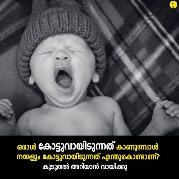 Thumbnail of p-b7demyrjhae-bfb3a53088ad4aad 0