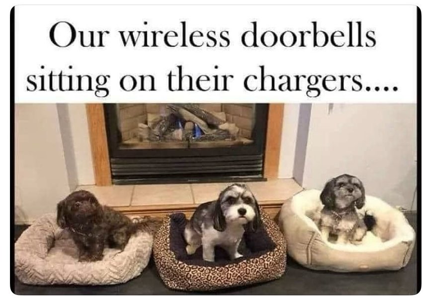 Thumbnail of c1kwnn-jtfx-bff789c45afb487a 0