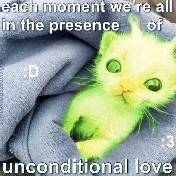Thumbnail of p-dc7w4f5yleg-c0295672bd2b4518 12
