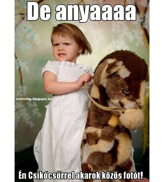 Thumbnail of p-bftlzmrnoh-c04d60395ae24688 0