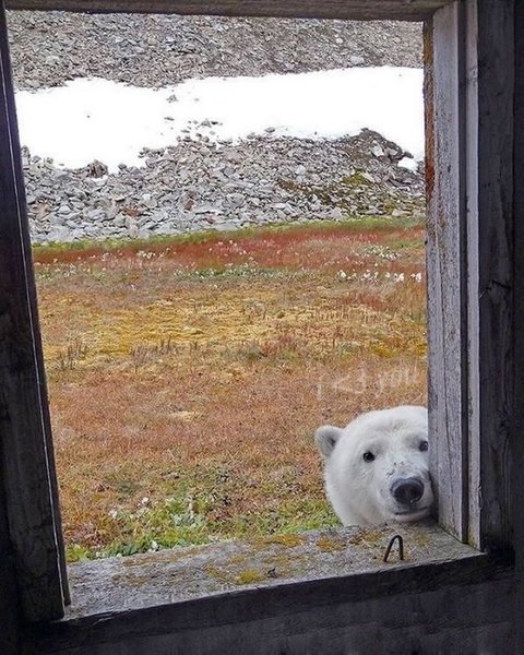 Thumbnail of www-instagram-com-p-dpwul68cqib-img-index-1 13