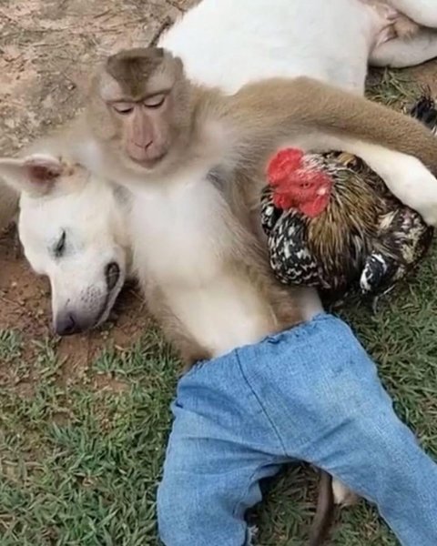 Thumbnail of www-instagram-com-p-dpwul68cqib-img-index-1 3