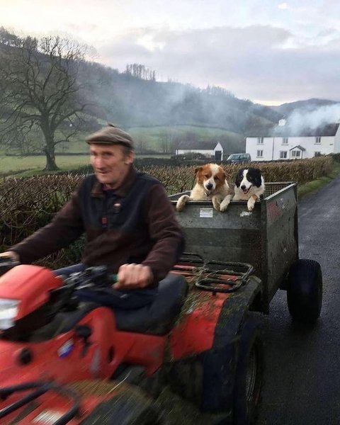 Thumbnail of www-instagram-com-p-dpwul68cqib-img-index-1 5