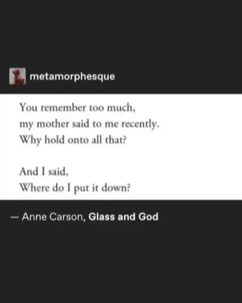 Thumbnail of www-instagram-com-p-dpwul68cqib-img-index-1 6