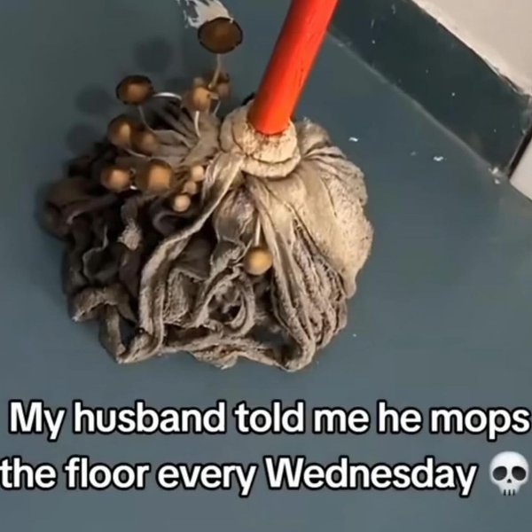 Thumbnail of p-dbh27wltigw-c068136c14e647ed 5