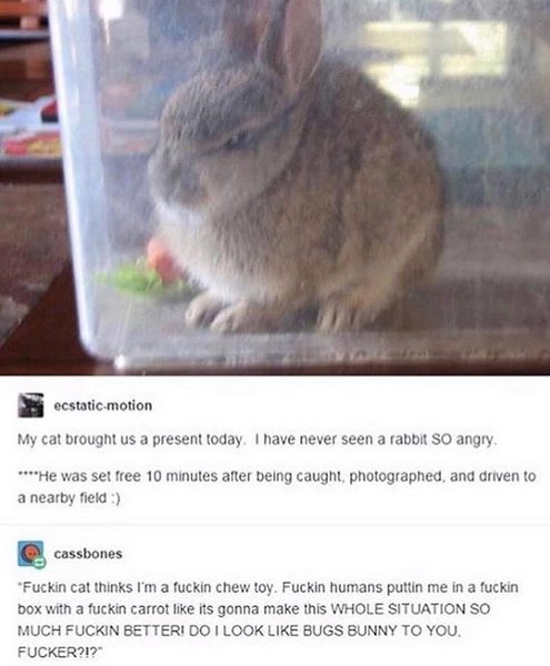 Thumbnail of p-brynovvnatr-c07dcc18c338436c 0