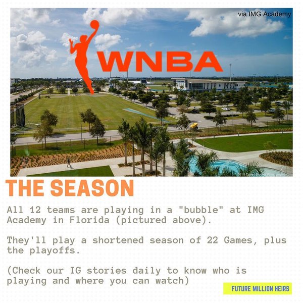 Thumbnail of p-cdptgnbdwhj-c08078c0ea0f4a20 1