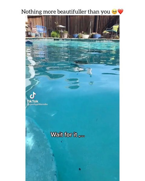 Thumbnail of p-cp1z9wbjagp-c0d21d82416c41ef 0