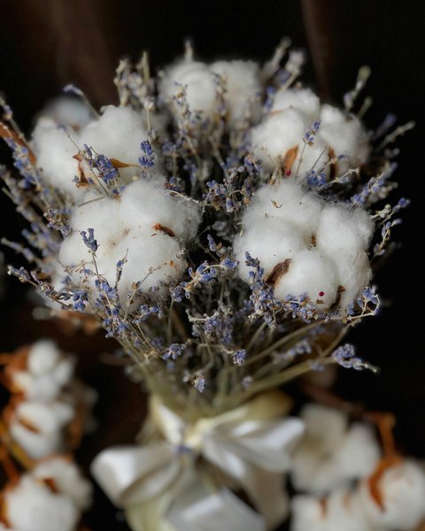 Thumbnail of l-q4bbim-c1126f04ba8c4742 1