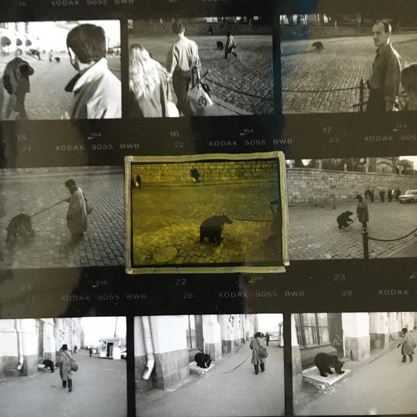 Thumbnail of p-cfd7pnjhus-c11974ecc3634419 8