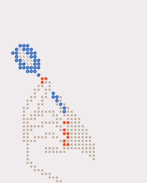 Thumbnail of p-dnvbw1fto1p-c12bc53e76fd43cc 4