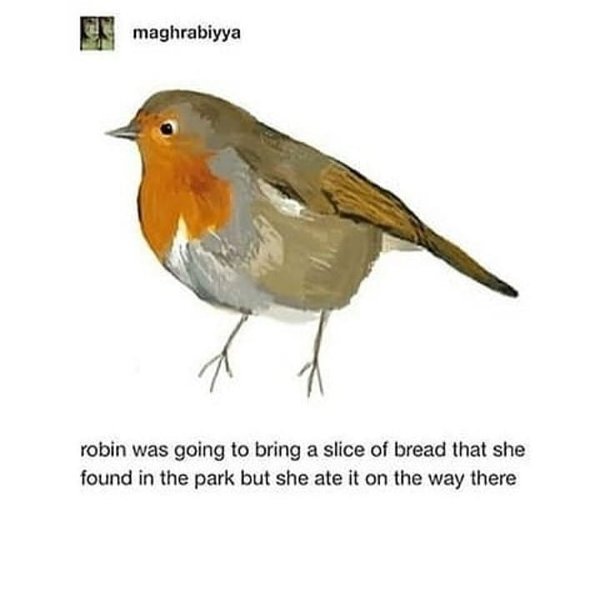 Thumbnail of p-bnzgksznbtb-c14275316d6c4dbb 5