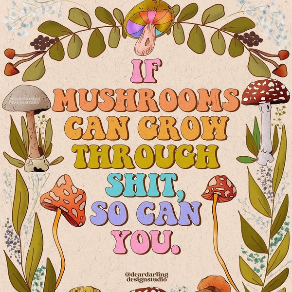 Thumbnail of c-dx82vupaz-c189fd41e5ef42f7 0