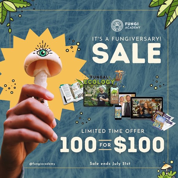 Thumbnail of c-dx82vupaz-c189fd41e5ef42f7 1