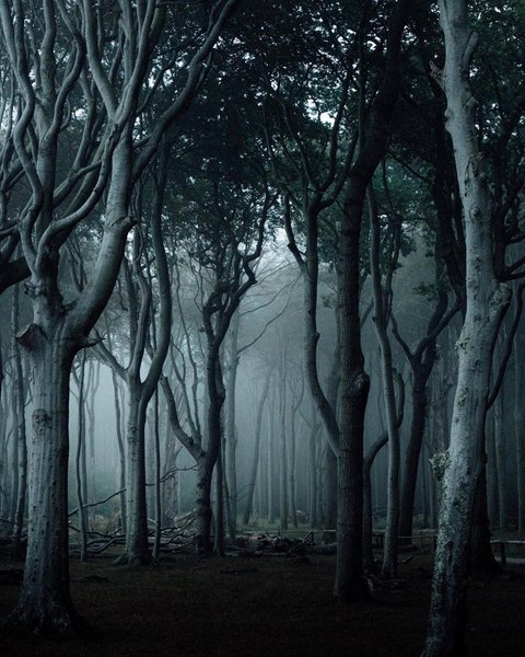 Thumbnail of p-ck9hwdqhwtj-c1b93b5623da4005 0