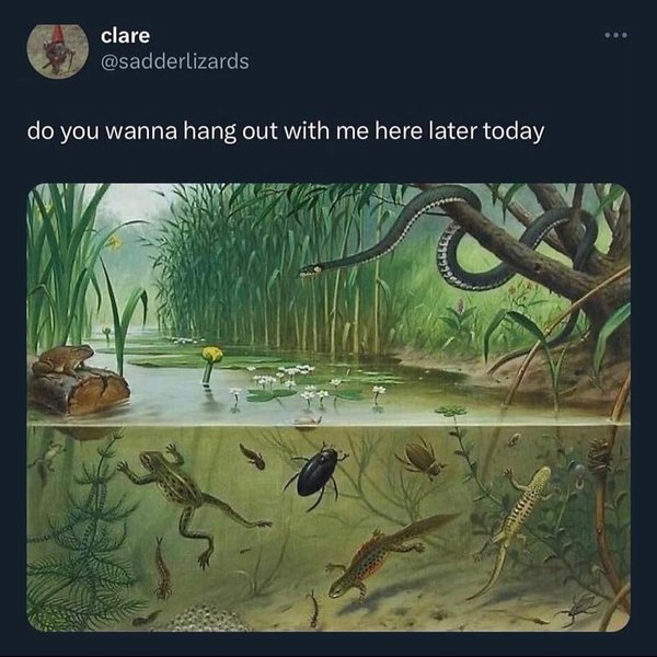 Thumbnail of cuqzrxgr-0b-c1cc0bec7ebf4c7b 0