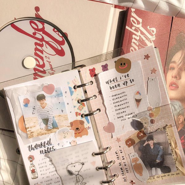 Thumbnail of p-cbpinsiblp6-c1da53bcf23b47b1 0