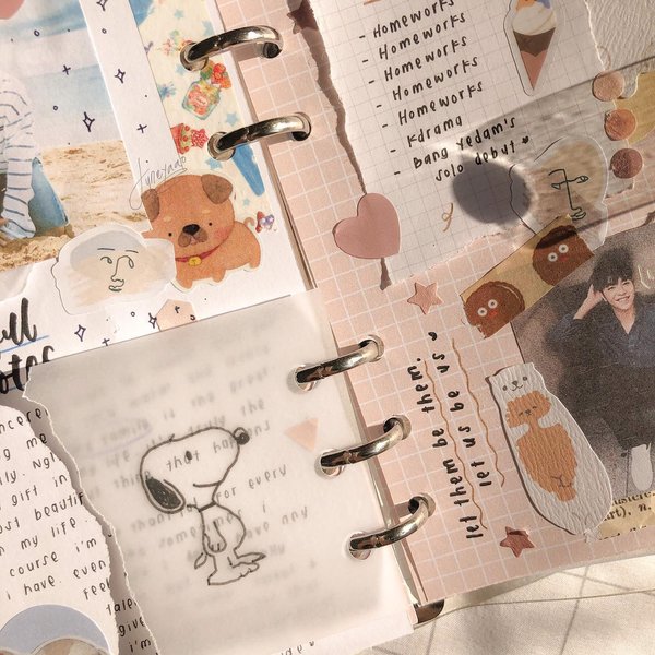 Thumbnail of p-cbpinsiblp6-c1da53bcf23b47b1 1