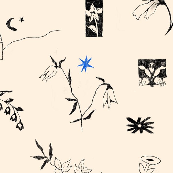 Thumbnail of p-chp48txjp5m-c1fb539ef01a4871 0