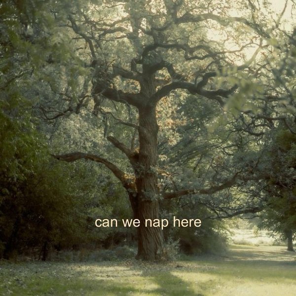 Thumbnail of p-c6v5mp5nico-c20e783e5184449b 2