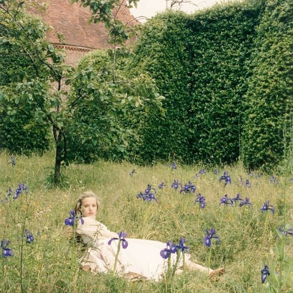 Thumbnail of p-c6v5mp5nico-c20e783e5184449b 3