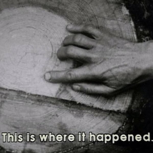 Thumbnail of p-c6v5mp5nico-c20e783e5184449b 4