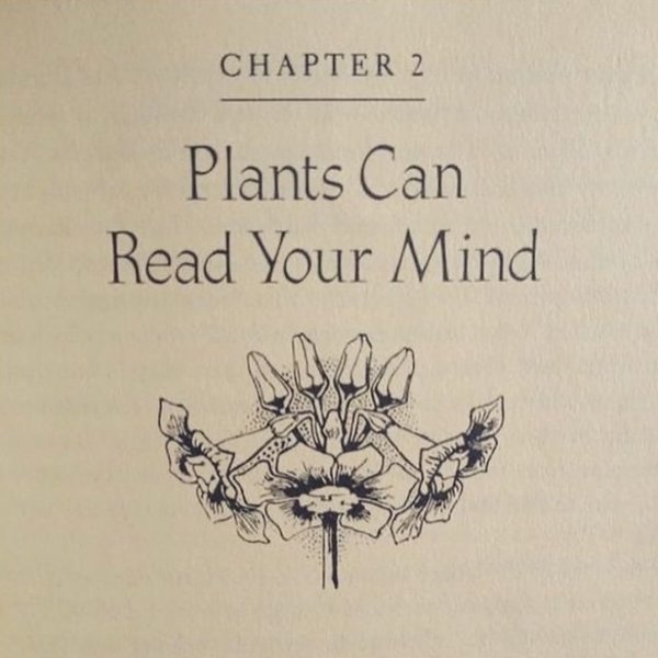 Thumbnail of p-c6v5mp5nico-c20e783e5184449b 7