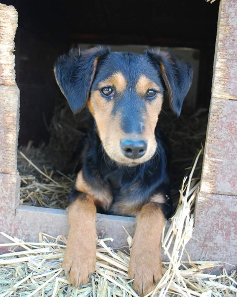 Thumbnail of p-bkafdttgyfr-c21939c346824c1e 0