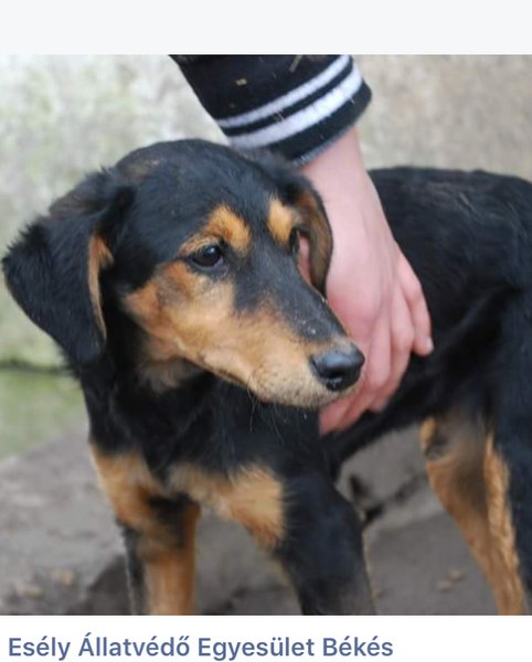 Thumbnail of p-bkafdttgyfr-c21939c346824c1e 1