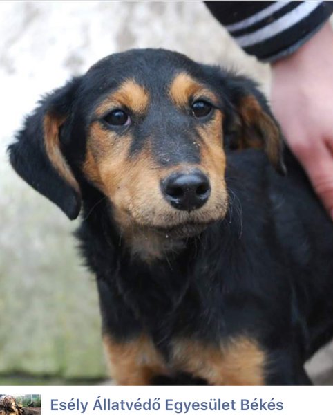 Thumbnail of p-bkafdttgyfr-c21939c346824c1e 2