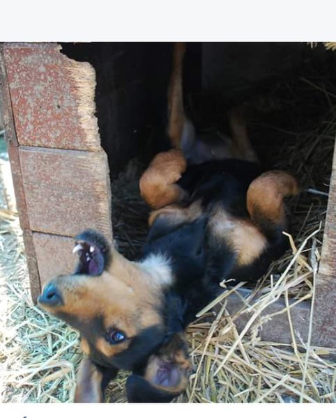 Thumbnail of p-bkafdttgyfr-c21939c346824c1e 3