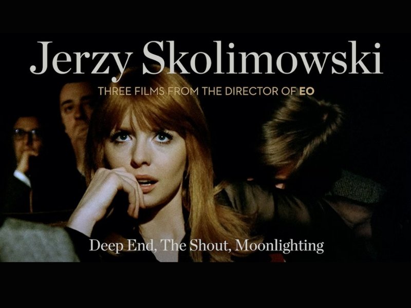 Thumbnail of p-cm9krtjpeub-c26007538bd24a6a 0