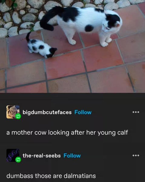 Thumbnail of dfkbyt9yo-c-c2629b74651d46a8 17
