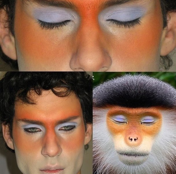 Thumbnail of p-dbaferfofmb-c26760a508514b8b 2