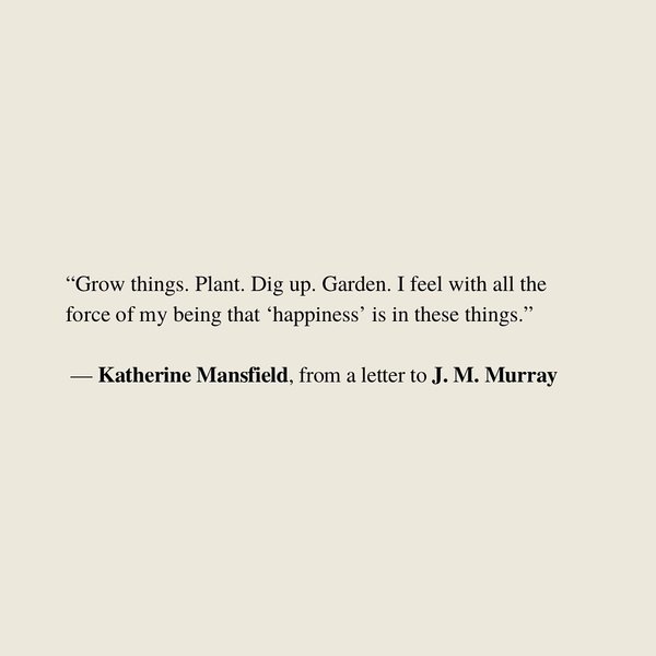 Thumbnail of p-c1ckvzvof8-c28e37e36f3c43e5 2