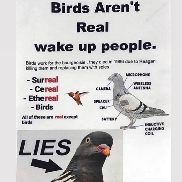 Thumbnail of p-b6tgd7kfavg-c2b17eddb2844416 7