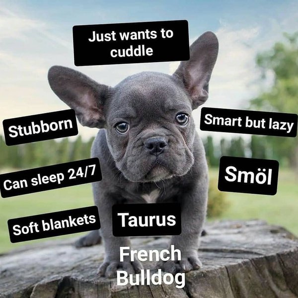 Thumbnail of p-bt4mxyehmpd-c2ca0cc04d27478a 1