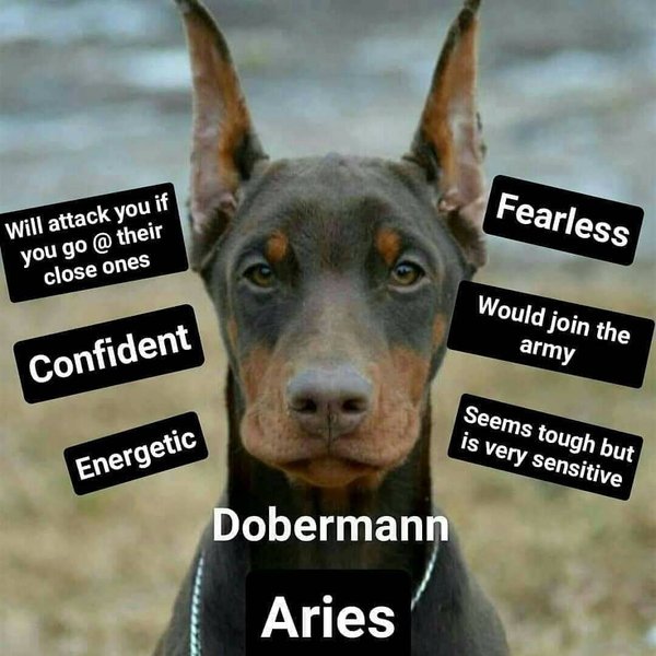 Thumbnail of p-bt4mxyehmpd-c2ca0cc04d27478a 4