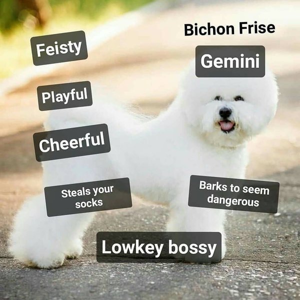 Thumbnail of p-bt4mxyehmpd-c2ca0cc04d27478a 5