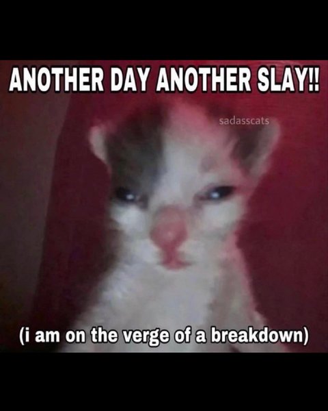 Thumbnail of p-cmxg2tjs20p-c2ec07880db34d24 6