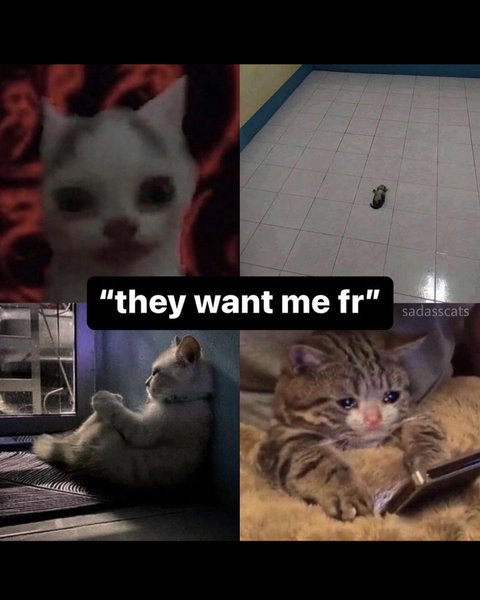 Thumbnail of p-cmxg2tjs20p-c2ec07880db34d24 9