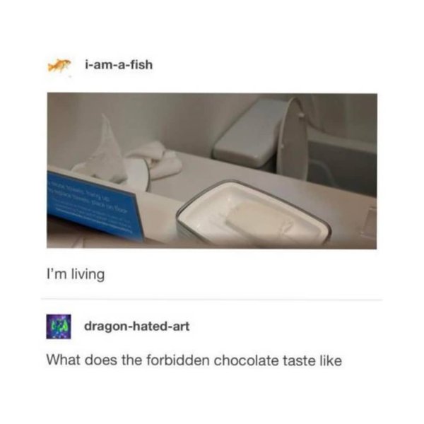 Thumbnail of p-b8znlibfhu9-c2f652960c8d4269 2