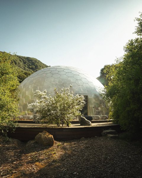 Thumbnail of instagram-c302e870778c44af 1