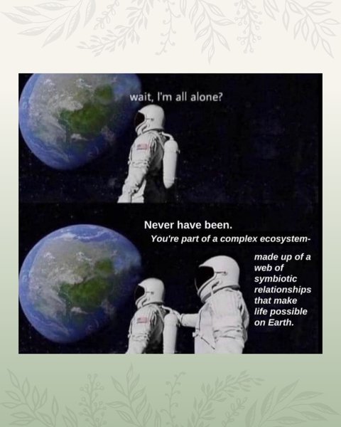 Thumbnail of p-c6tcdrir0gu-c30b19bdc65b47bc 2