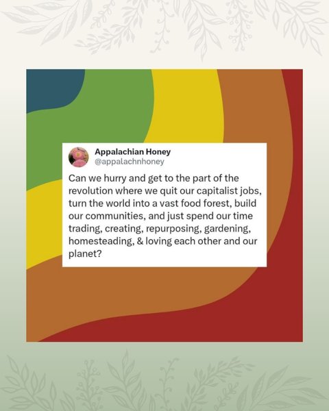 Thumbnail of p-c6tcdrir0gu-c30b19bdc65b47bc 4