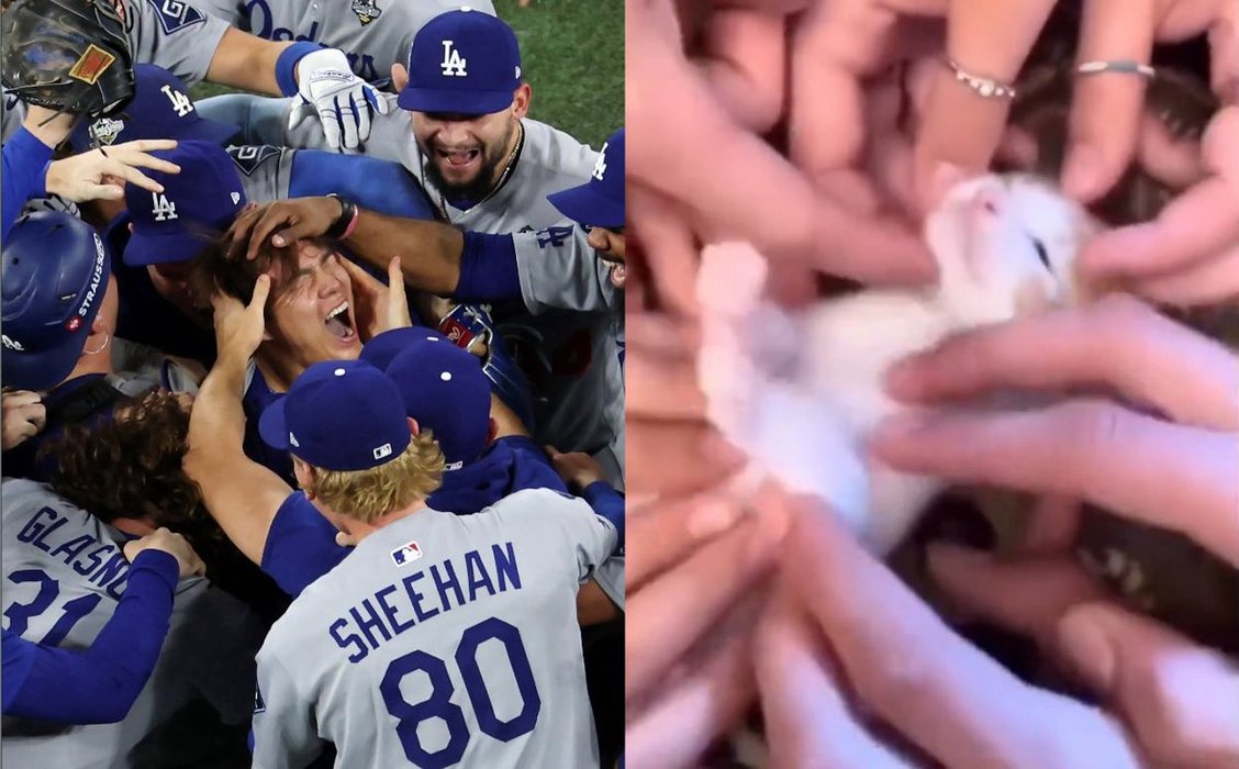 Thumbnail of www-x-com-sedicihive-status-1984844226367275502-c34299d25483493a