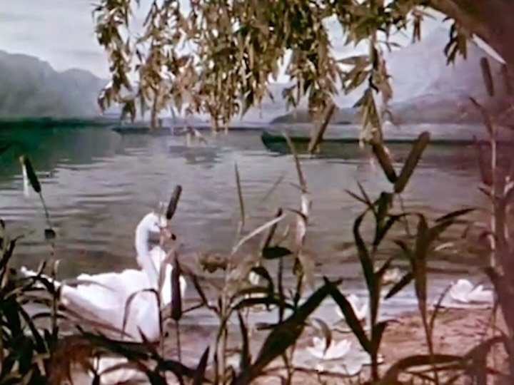 Thumbnail of p-doy9x6yiyxa-c373d3898b684ad8 2