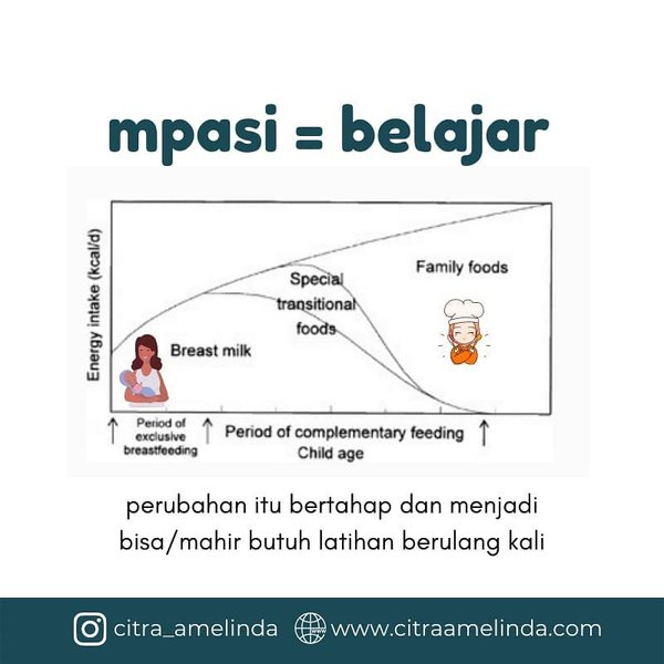 Thumbnail of cnes-cmrbi-c386fac1f2e64fa2 1